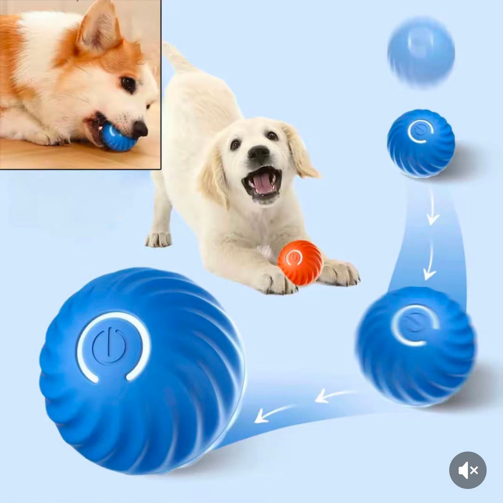 Pelota Automática Para Perros