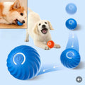 Pelota Automática Para Perros