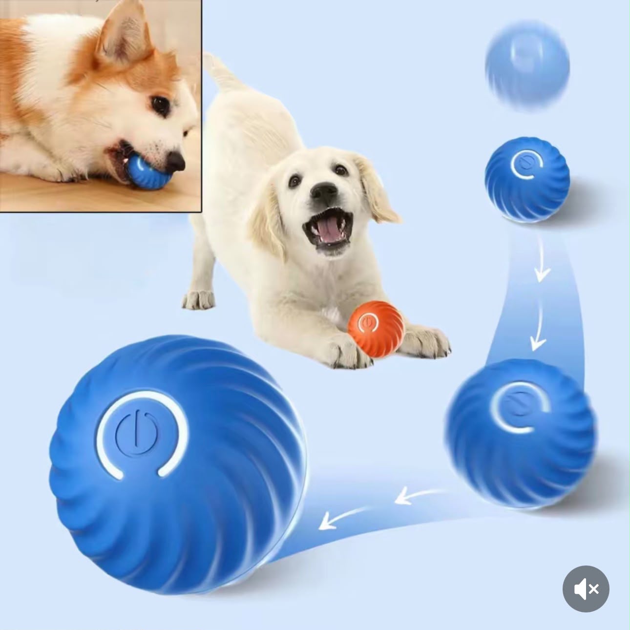 Pelota Automática Para Perros